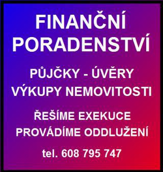 Finanční poradenství pro klienty v registrech a exekuci